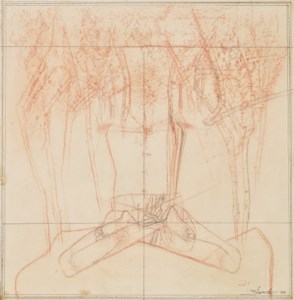 Under the Tree