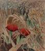 Edith King (South Africa 1871-1962), Paintbrush Lily
