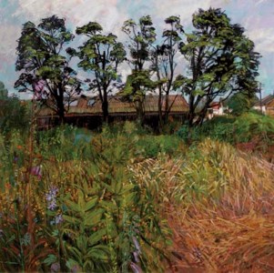 The Overgrown Garden, Walberswick, Suffolk