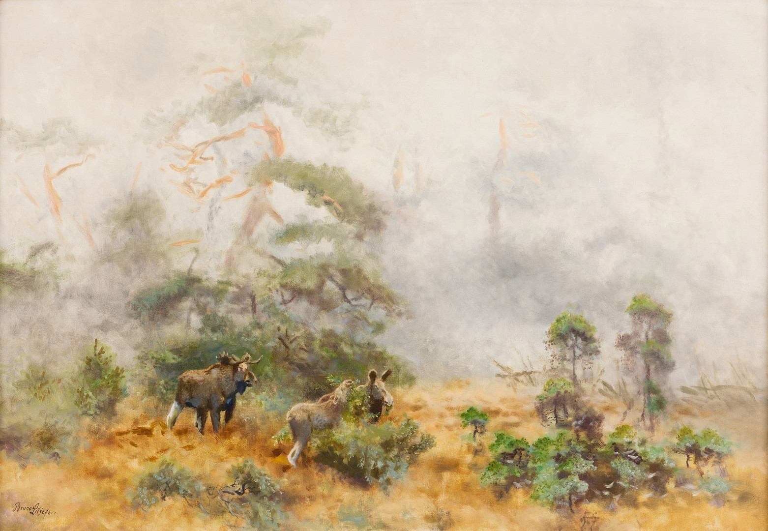 Moose in morning mist.