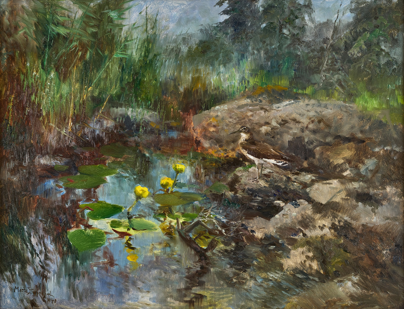 "Green sandpiper".