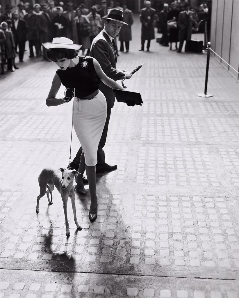 Simone dAillencourt with Whippet