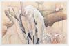 : "One White Crane, Field Museum".