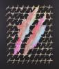 “Scrittura” 2007