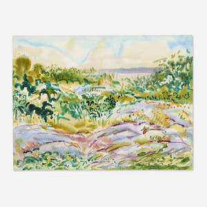 Rocks and Summer Grasses