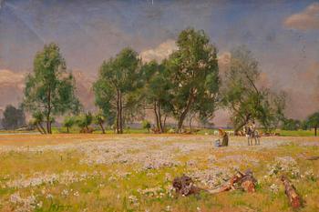 Blooming summer meadow.