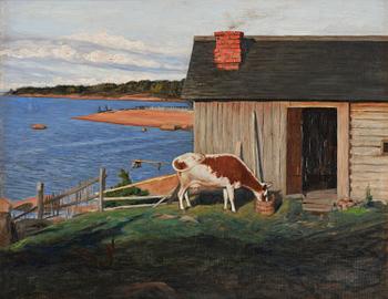 Landscape from Niemenlautta
