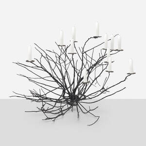 Burning Bush 19