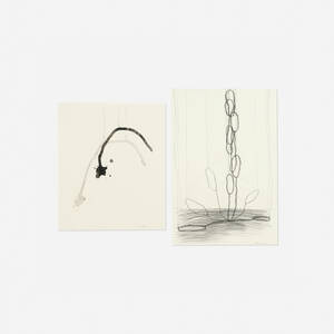 Hanging Puddle; Hanging Puddles (two works)