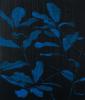Blue Light