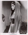 Lors du tournage du film de Joseph L. Mankiewicz "Cleopatra" (Cléopâtre), 1963.