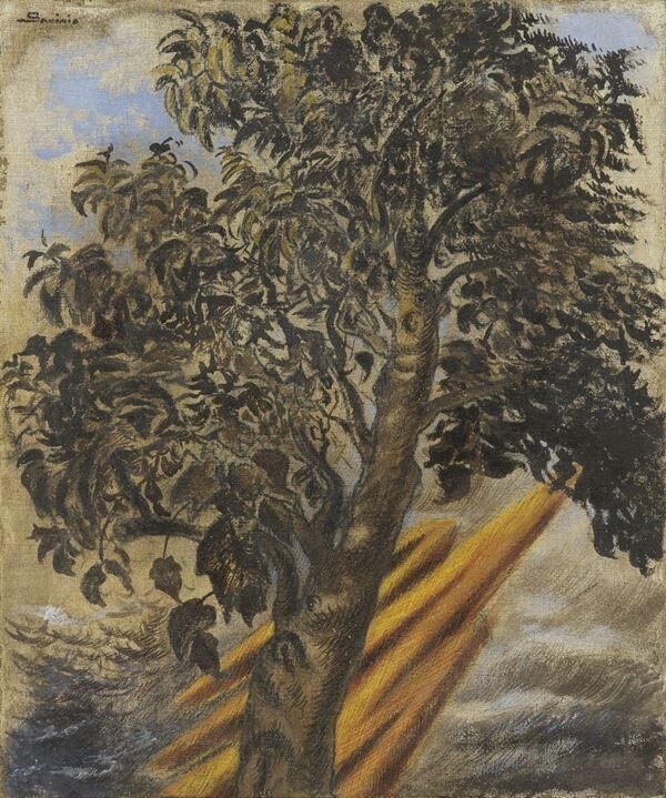 Albero araldico