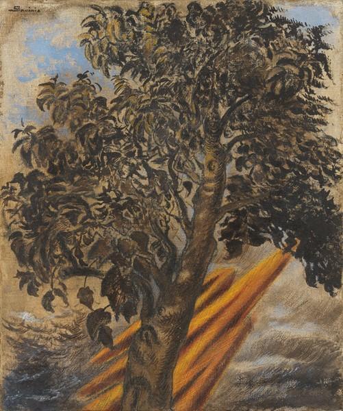 Albero araldico