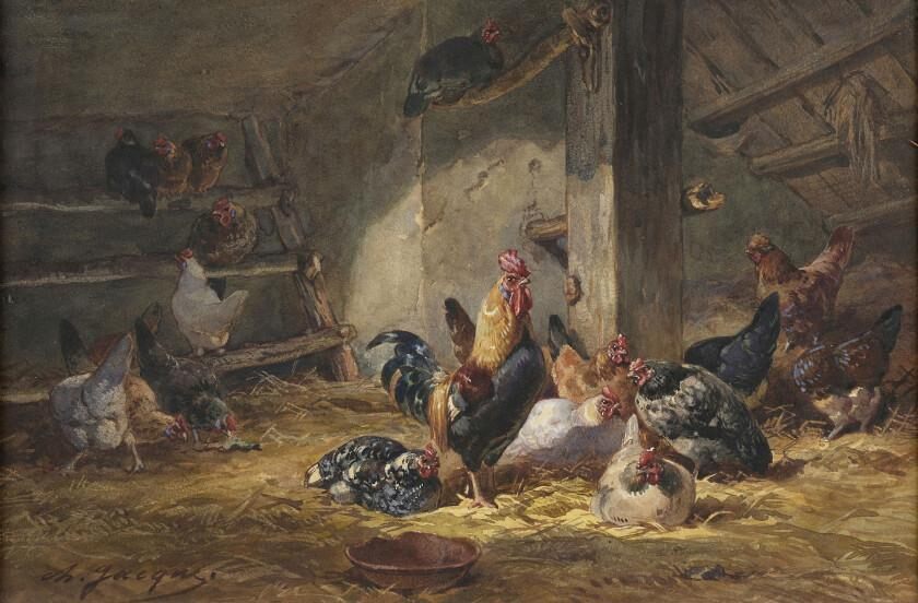 The chicken coop