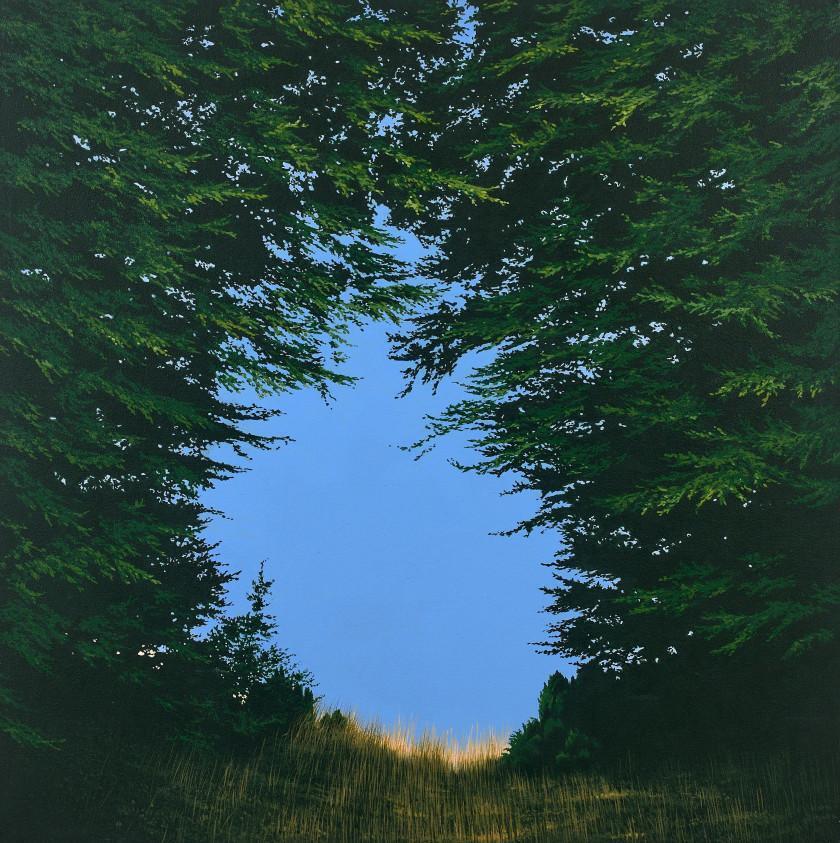 Untitled (I Came Up Here)