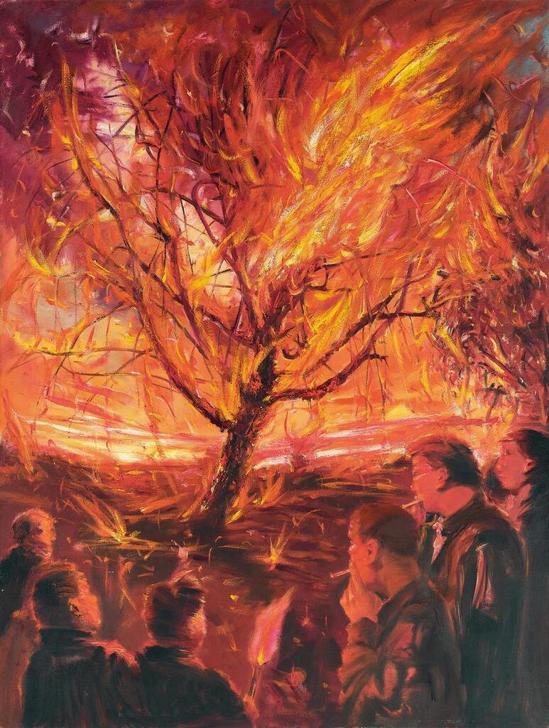 Flame Tree