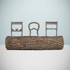 Tree-Trunk bench
