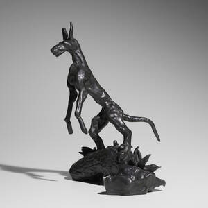 Podenco Hound