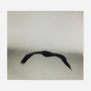 Boomerang II