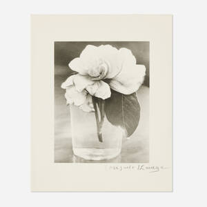 The Camellia