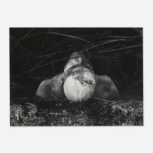 Untitled (from the Erinnerungsspur series)