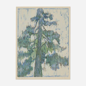 Blue Pine Tree