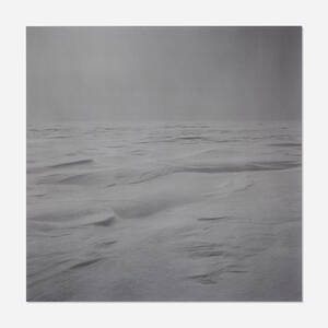 Arctic Plate 10