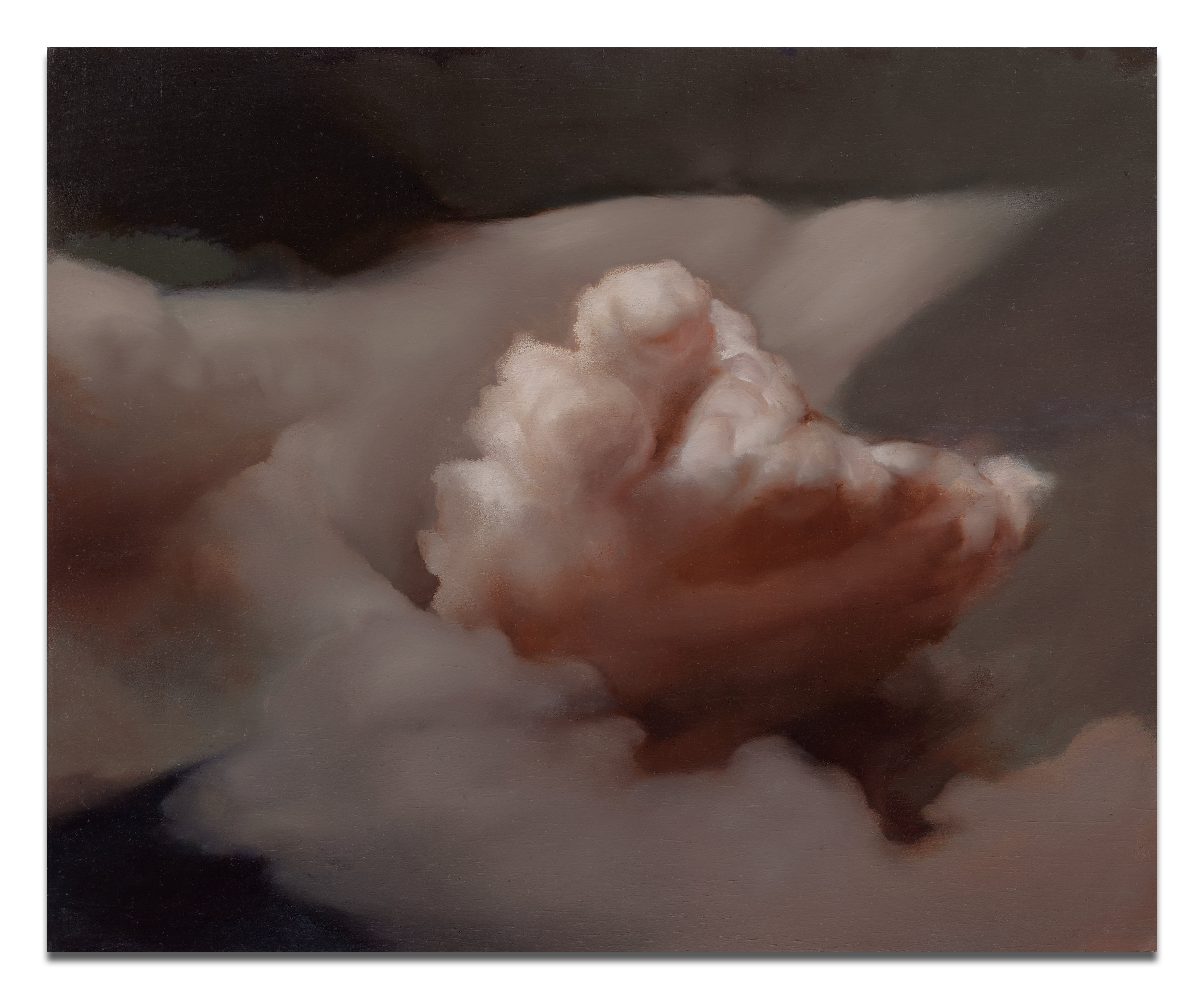 Cloud#38 - 2010