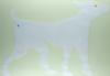 Knoebel, Imi: Ghost dog
