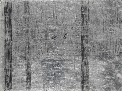 American, b. 1980