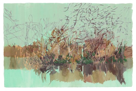 Island (1st August)