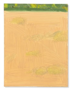 Field
