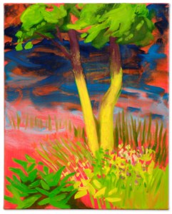 Grassy Shore
