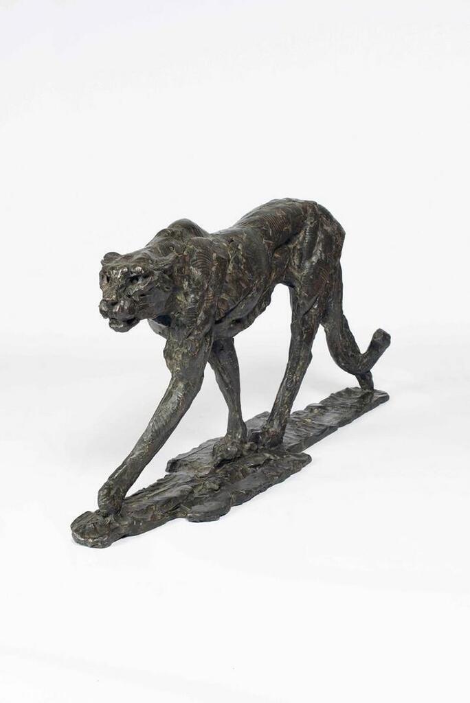 Stalking Cheetah II (S346)