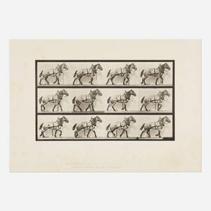 Plate 56 (from the Animal Locomotion series)