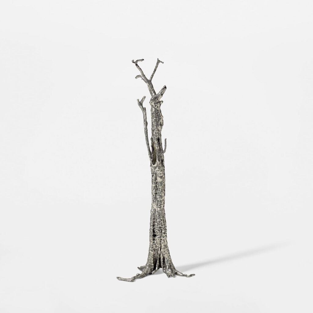 Pequi Tree