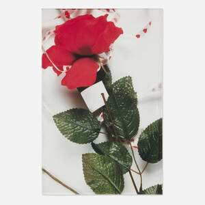 #47 Rose from the Clairvoyant