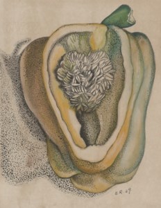 Capsicum