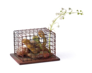 Birdcage