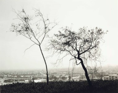 On Signal Hill, Overlooking Long Beach, California, 1983