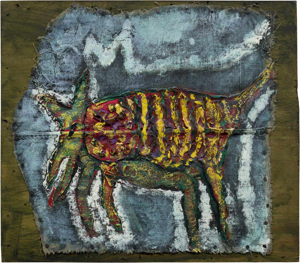 Moonlit Dead Armadillo