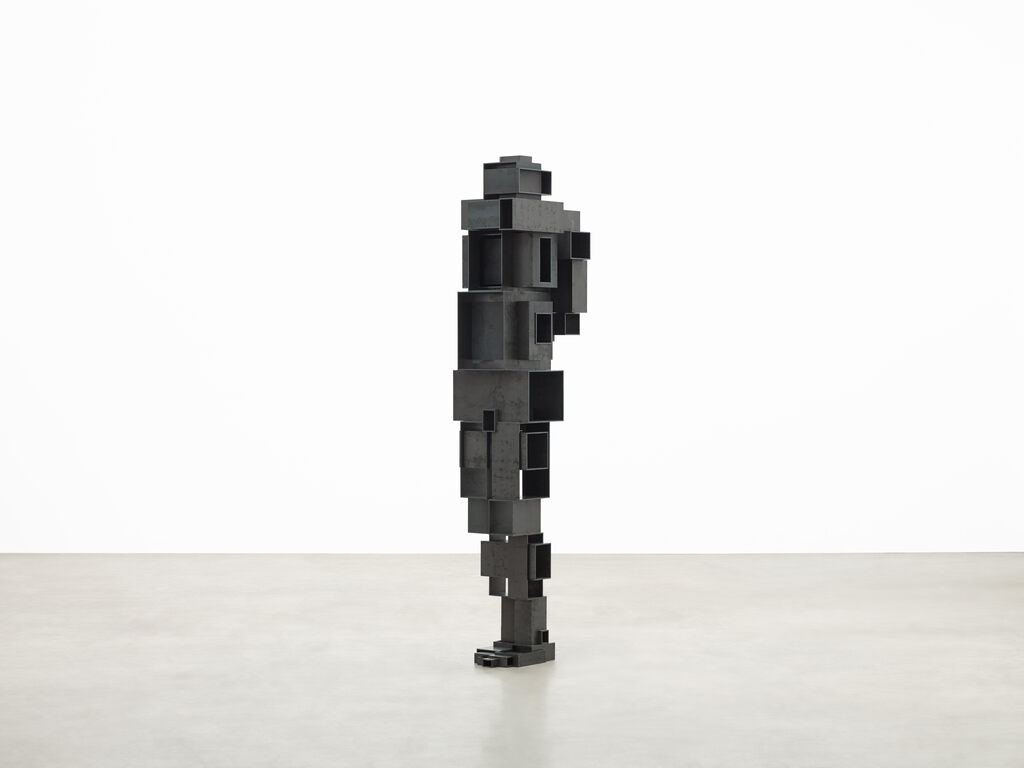 Antony Gormley, Open Hide