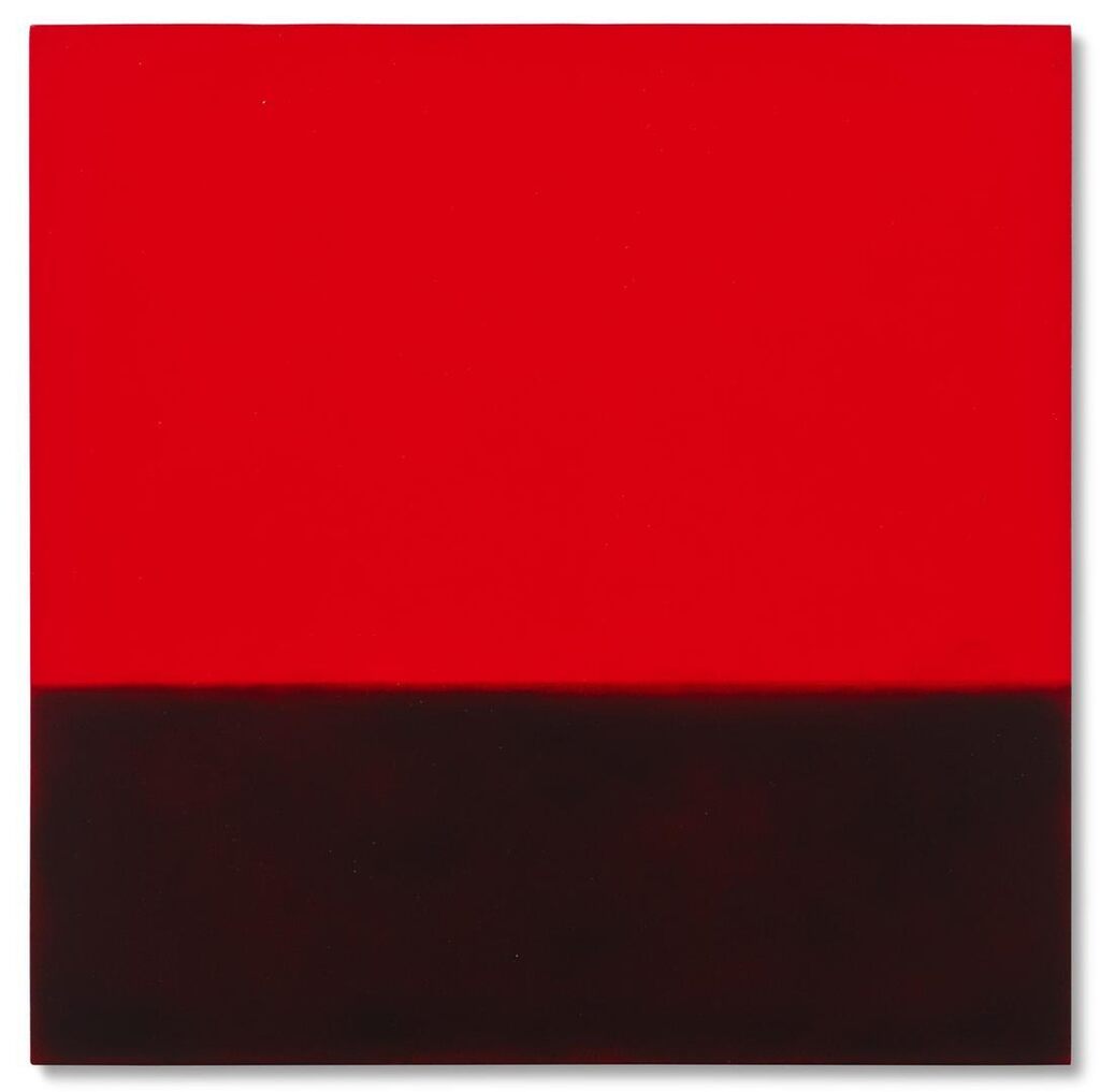 Untitled (Amazon Landscape)