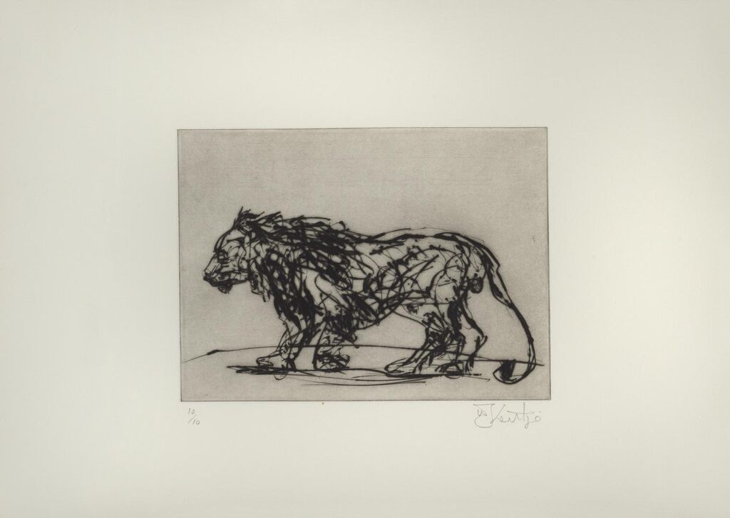 Lion (not in Siebrits)