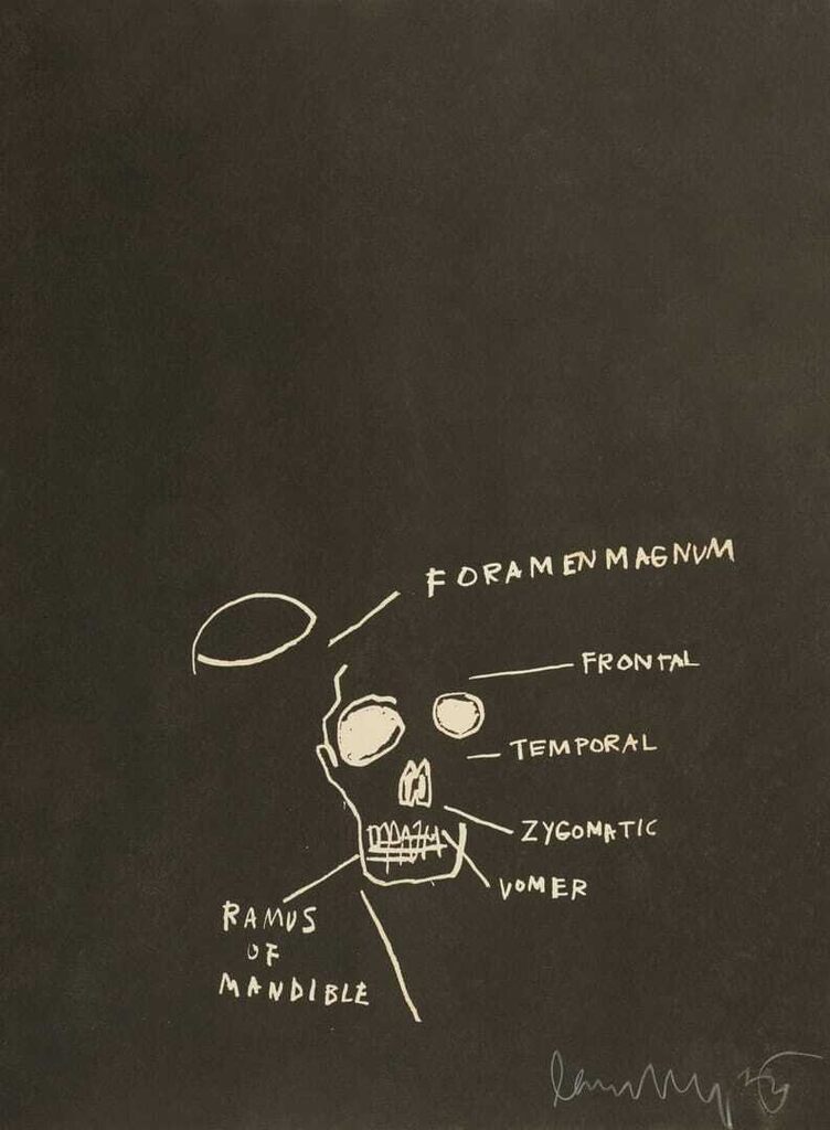 Untitled (Ramus of Mandible) from Anatomy