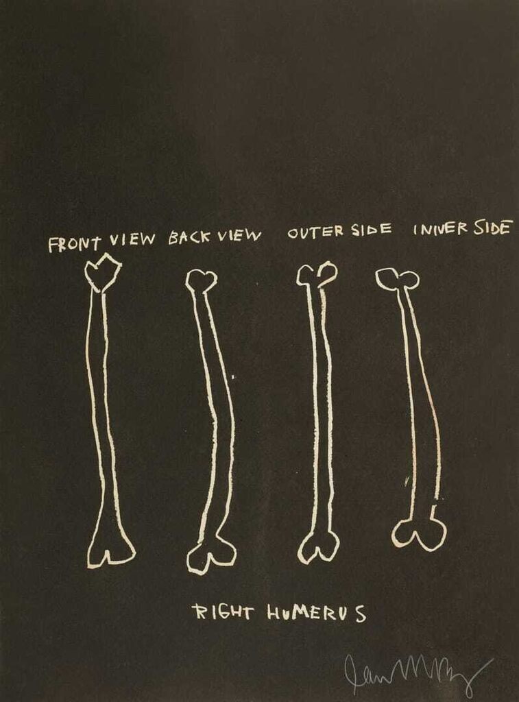 Untitled (Right Humerus) From Anatomy