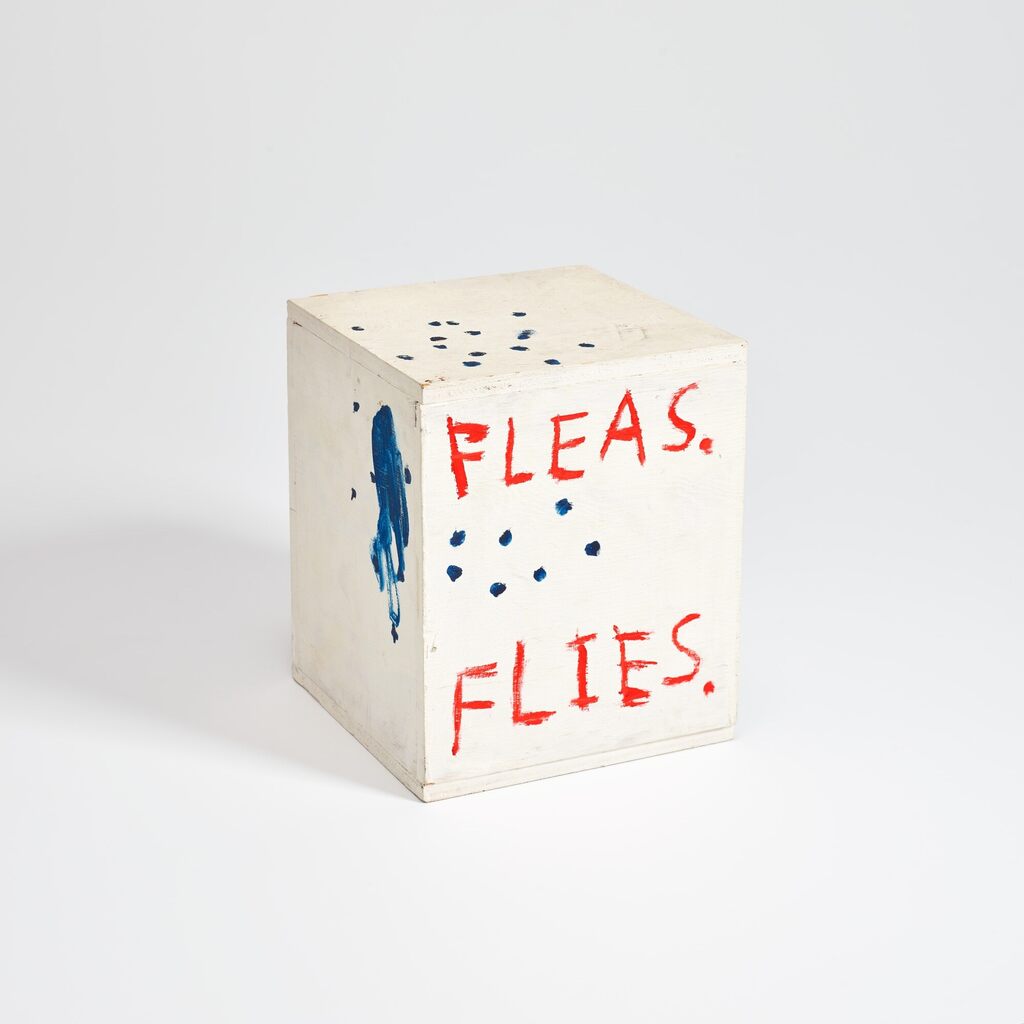 Fleas, Flies