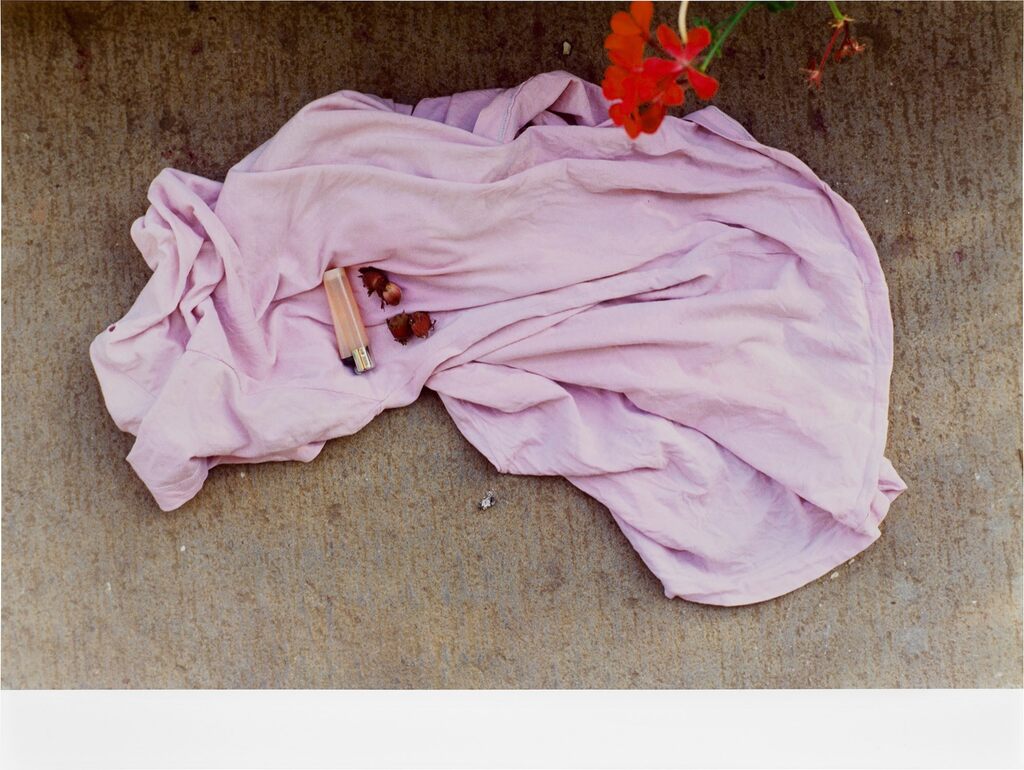 Stilleben Nüsschen II