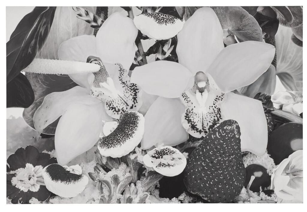 Doha Spring (Monochrome)