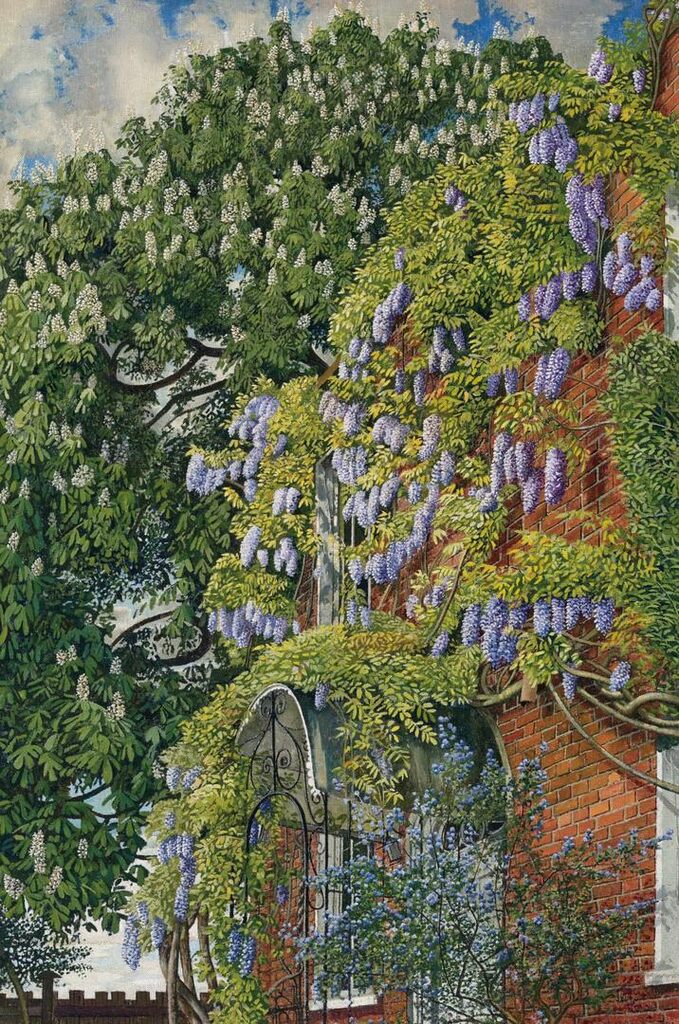 Wisteria at Englefield